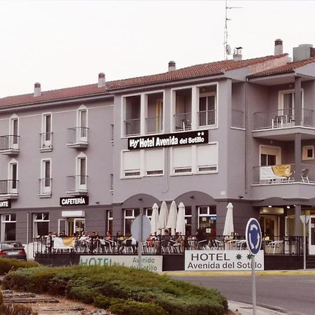 Hotel Avenida Del Sotillo La Lastrilla Exteriör bild